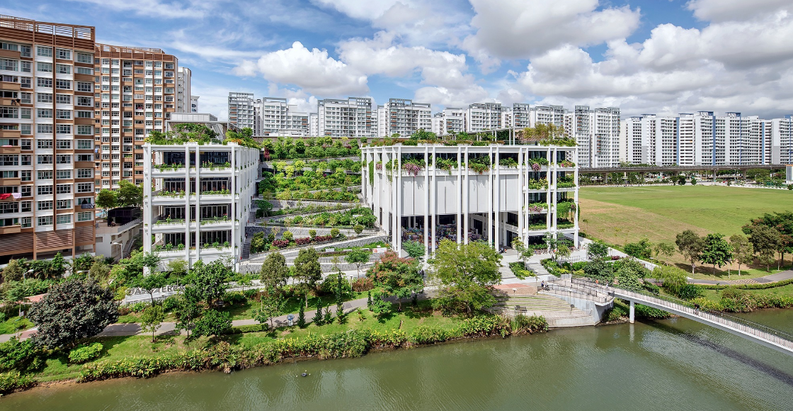 绿洲台 网站图.png